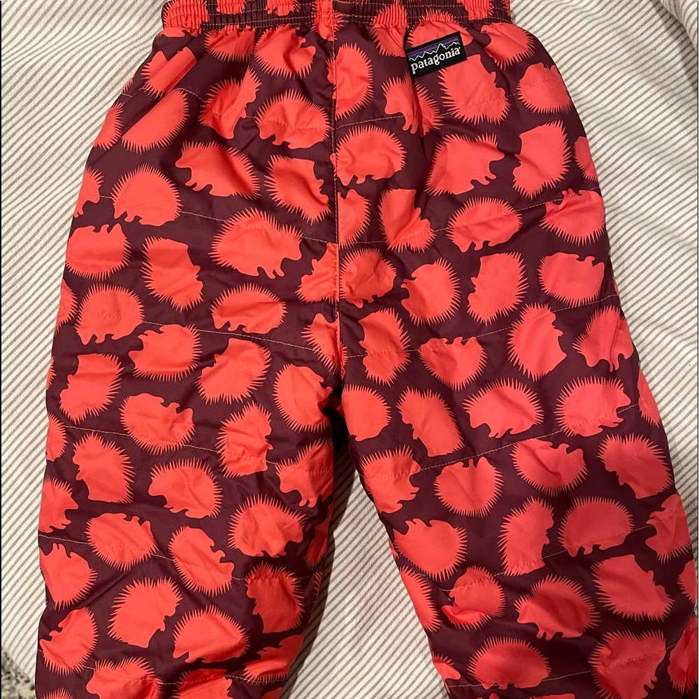 Kids 2T Patagonia Snow pants